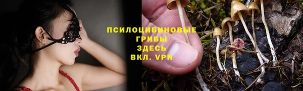 jwh Ростов