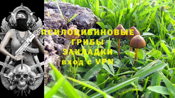 шишки Россошь