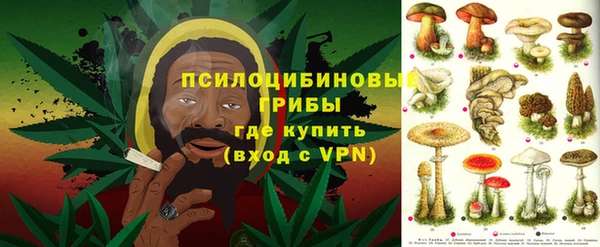 прущие грибы Алзамай